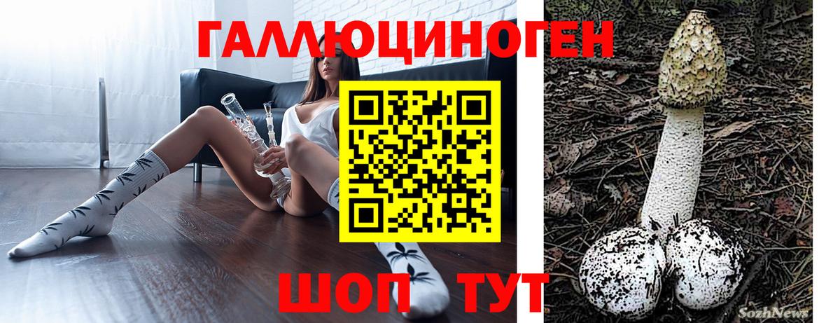 Галлюциногенные грибы Psilocybine cubensis Кунгур